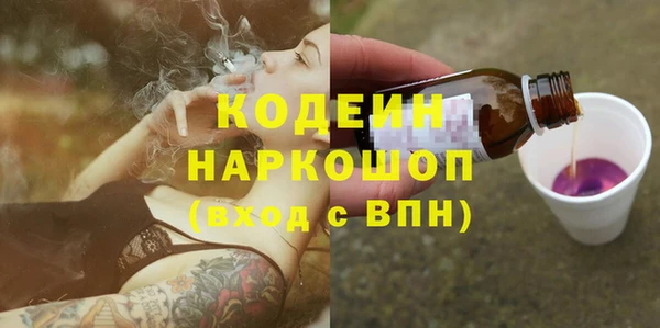 шишки Верея