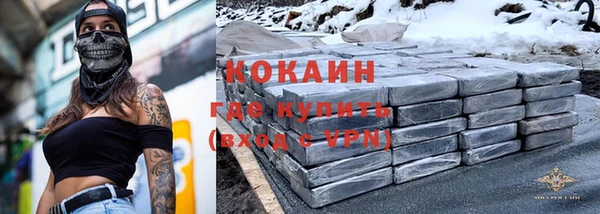 шишки Верея