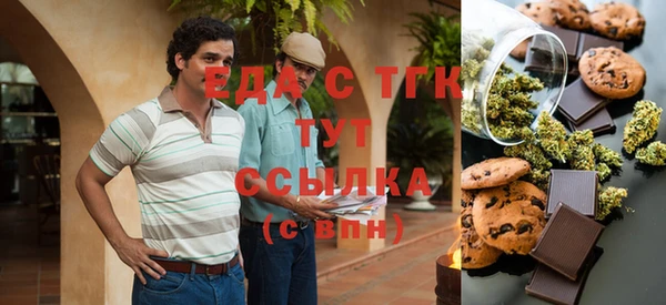 шишки Верея