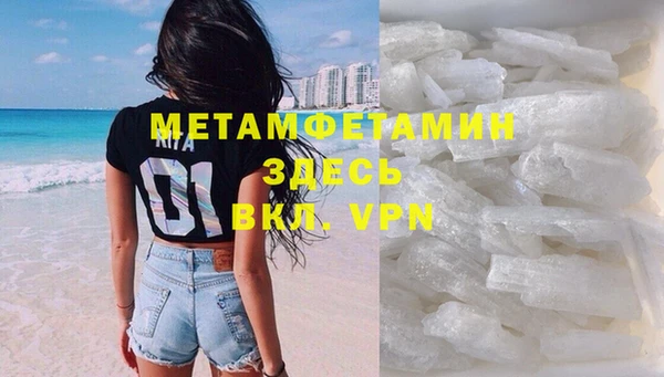 шишки Верея