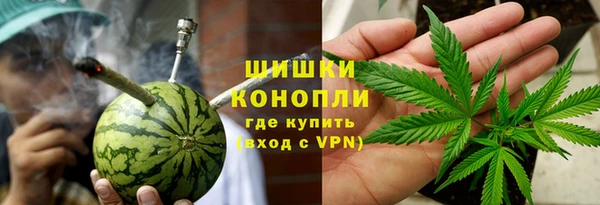 шишки Верея