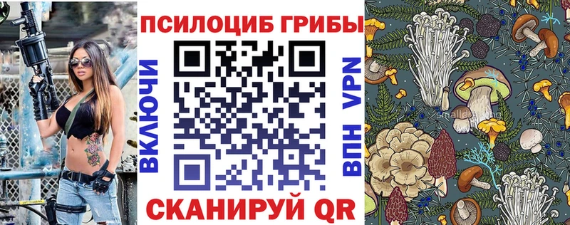 omg онион Сретенск Псилоцибиновые грибы ЛСД